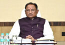 CM विष्णु देव साय का निर्देश: सड़कों से निराश्रित पशुओं की समस्या पर लगे प्रभावी रोक