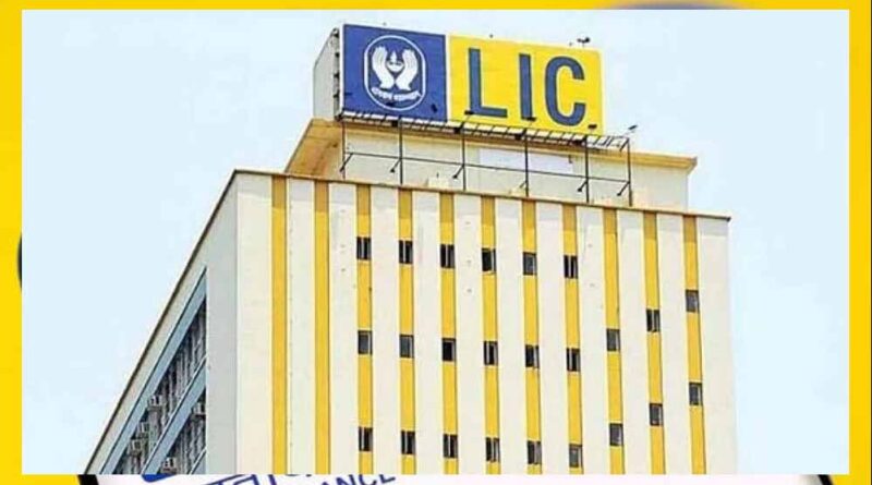 LIC का 10,000 करोड़ मुनाफा, प्रीमियम की कमाई और निवेश का पूरा हाल