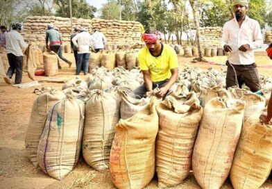 धमतरी में रिकॉर्ड रफ्तार से धान खरीदी, किसानों को 409 करोड़ का हुआ भुगतान