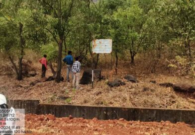 हरित पहल को बढ़ावा: वन विकास निगम–एनएमडीसी बचेली के बीच 50 हजार पौधों के रोपण का समझौता